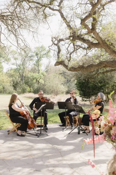 Wedding string quartet performing ceremony music, a resonant cello anchoring the group beneath garden trees on a stone patio by a grass lawn.