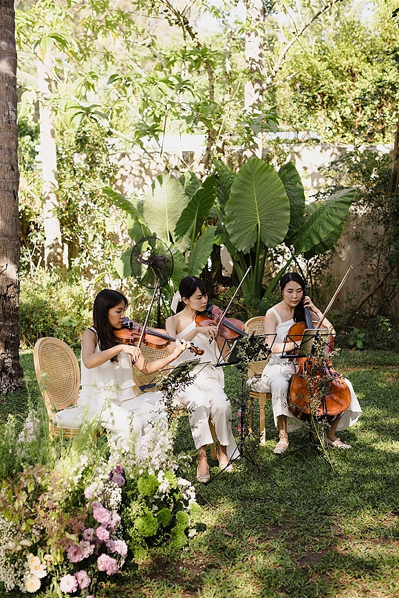 Wedding string quartet performing with violins and cello at music stands on a sunlit garden lawn beside tropical leaves and florals