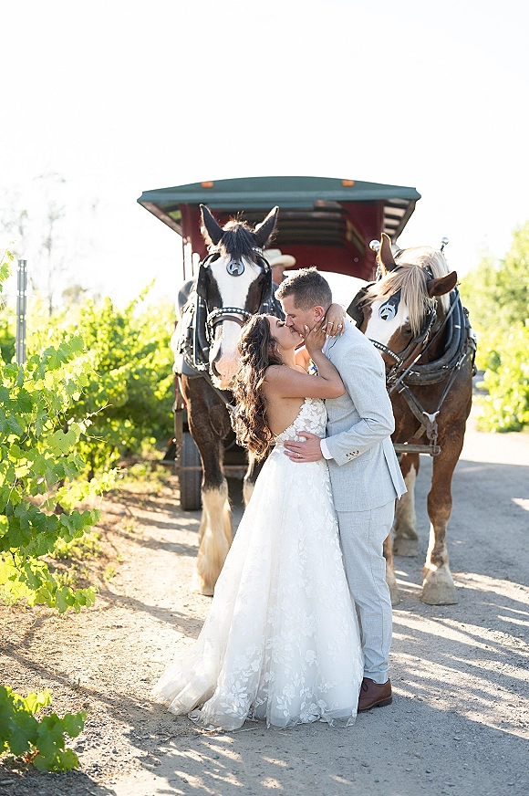 Wedding kiss portrait of bride and groom kissing by a horse-drawn carriage, lace dress and gray suit on a vineyard dirt road under bright sky