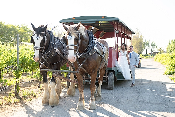 Couple portrait holding hands beside a horse-drawn wagon with draft horses, bride in lace gown and veil on a vineyard lane with string lights
