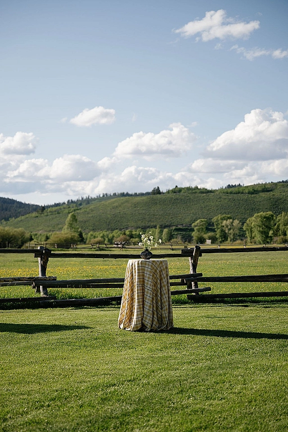 Cocktail table decor with a plaid tablecloth and bud vase of white flowers on a lawn, set before a wooden fence and rolling hills