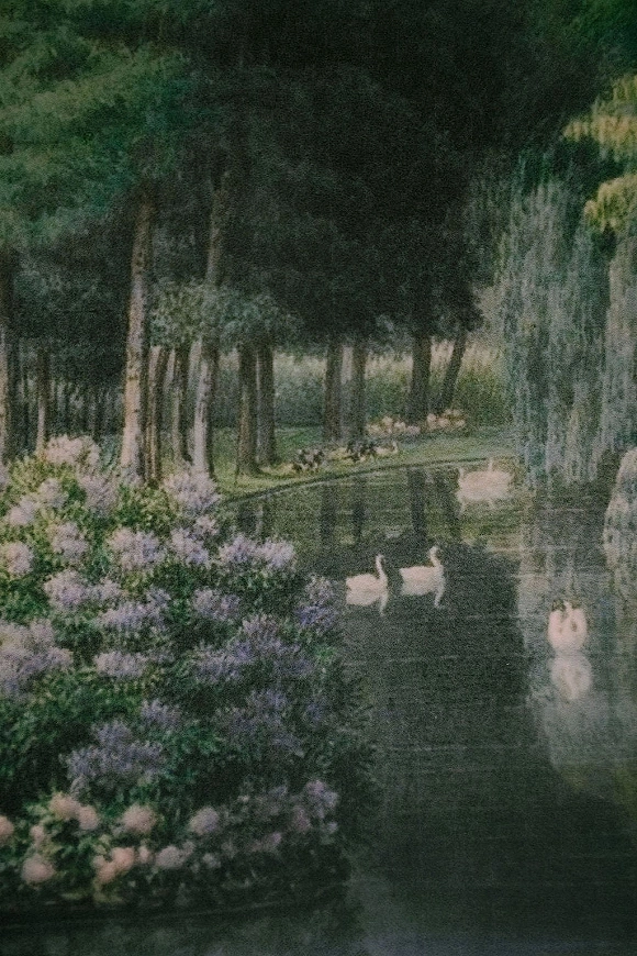 Ceremony aisle design with a white aisle runner and floral ground arrangements along a garden path beneath tall trees and greenery