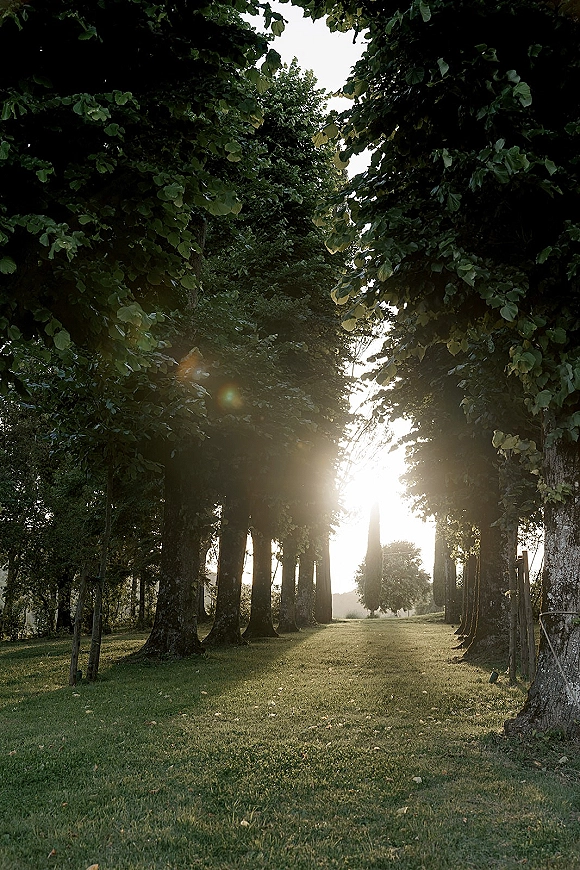 Tree lined path outdoor ceremony aisle with sunlight through a canopy of trees, bordered by grass lawn and fence posts