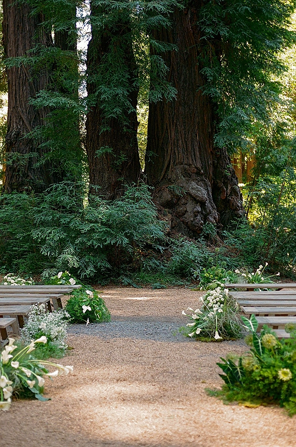 Ceremony aisle decor with ground white flowers and greenery along a gravel path, flanked by wood benches in a redwood forest
