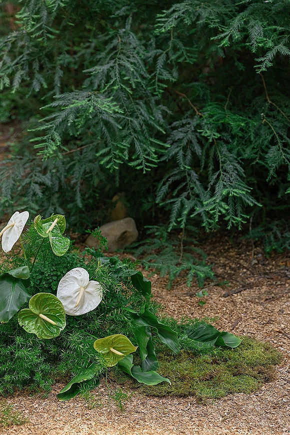 Wedding aisle flowers in a lush aisle floral ground arrangement with white anthurium and moss on a gravel path by evergreens