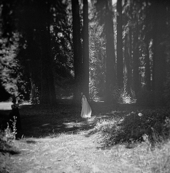 Bridal portrait of a bride in veil and gown from behind, walking through a sunlit forest clearing with tall trees and shadows