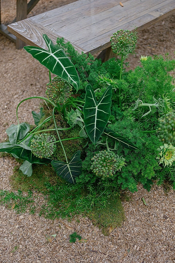 Wedding aisle florals with ceremony aisle greenery, tropical leaves, moss, and allium blooms beside a wooden bench on gravel ground