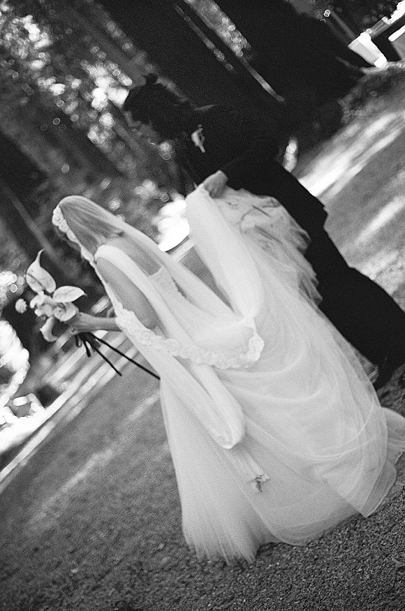 Ceremony processional as bride walking down aisle with groom, veil and bouquet in hand, on a sunlit tree-lined walkway from behind