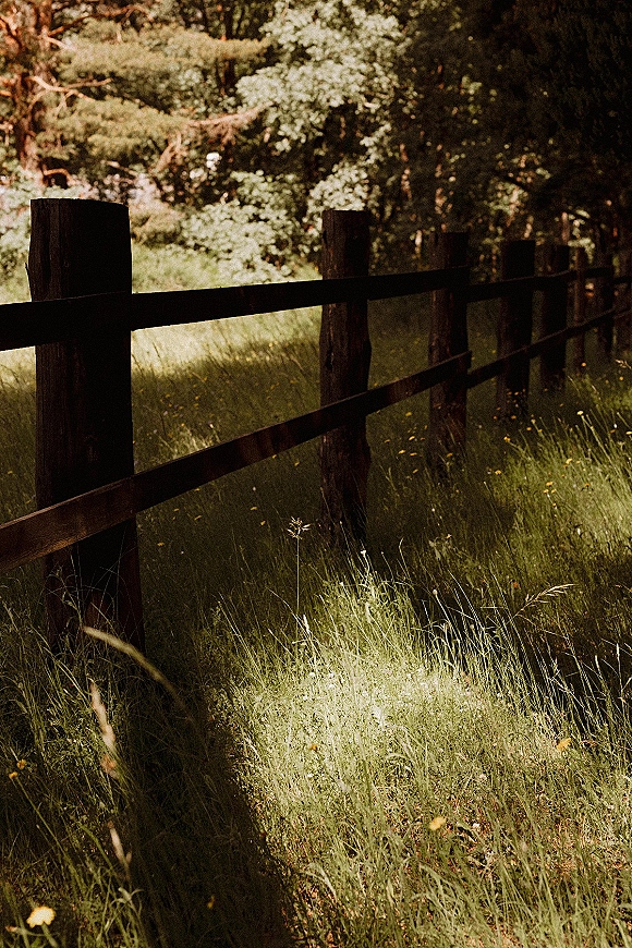 Wood fence along a rustic wooden fence line with wildflowers and tall grass, set at a sunlit forest-edge meadow with shadows
