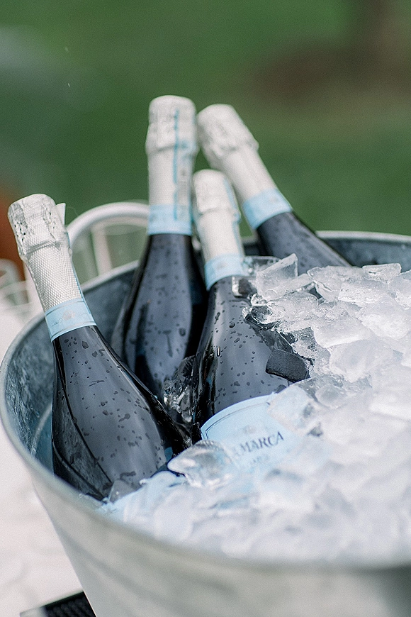 Champagne bottles on ice in a champagne bucket, chilled in a metal ice bucket beside outdoor greenery and a white chair