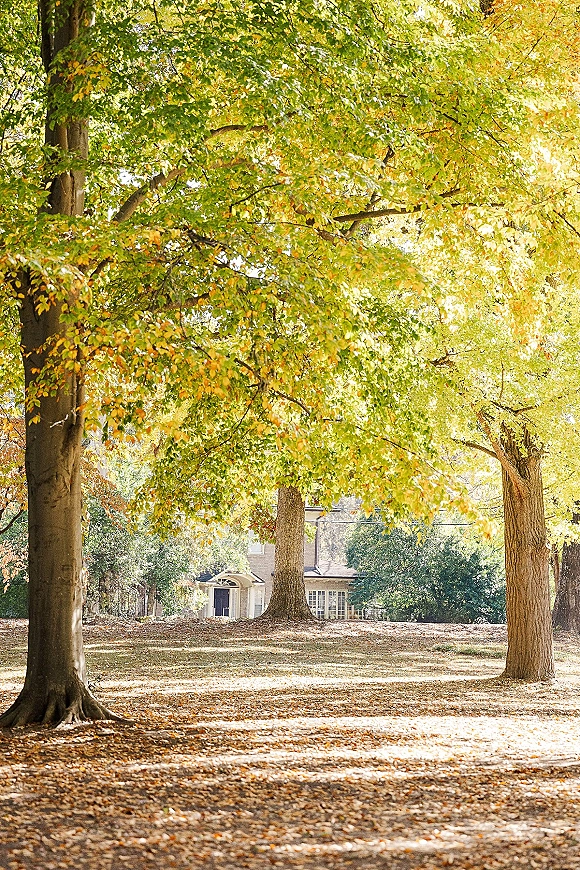 Outdoor wedding venue beneath a tree lined wedding venue canopy, fall leaves on the lawn, sunlight filtering toward an estate house exterior