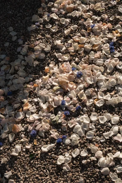 Rose petal confetti scattered across gravel and pebbles for a petal toss, with delicate blue flowers adding soft contrast.