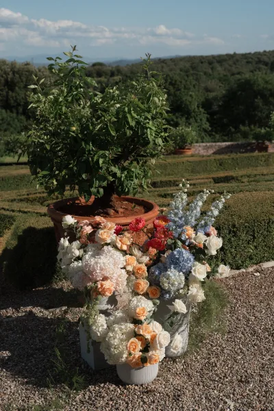 Wedding flower arrangement of roses, hydrangeas, peonies, and delphinium serving as outdoor wedding flowers in a terracotta pot by garden hedges.