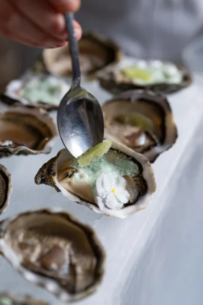 Oyster bar display with oysters on the half shell, lime wedge, green sauce, and edible flower garnish on a white tablecloth