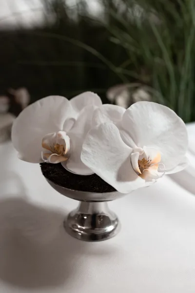 Orchid centerpiece with white orchid blooms in a silver pedestal bowl with moss on a white tablecloth surrounded by greenery foliage