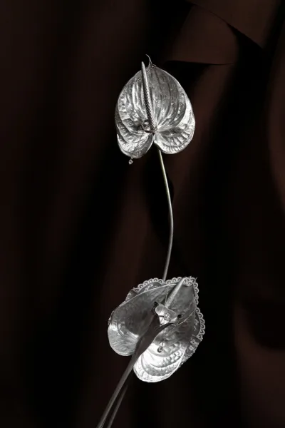 Wedding ring photo of an engagement ring close up on anthurium flowers with lace trim and pendant necklace against a dark, moody backdrop