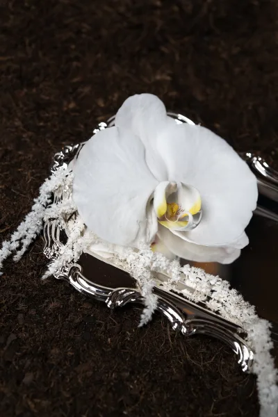 Wedding flat lay of bridal details on a silver tray with a white orchid accent, styled on dark soil and mossy ground texture