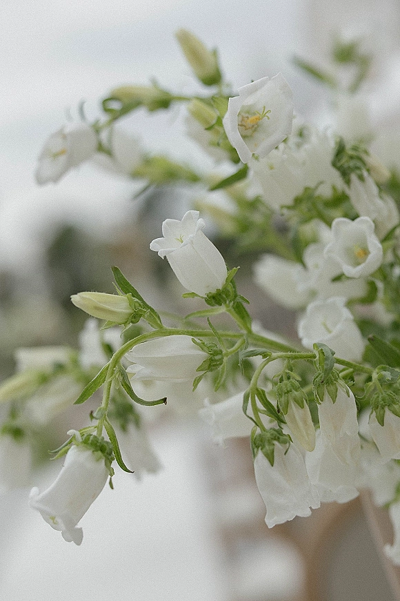 Wedding florals with white wedding flowers, bell-shaped blooms and green stems arranged in an airy centerpiece against a softly blurred reception backdrop