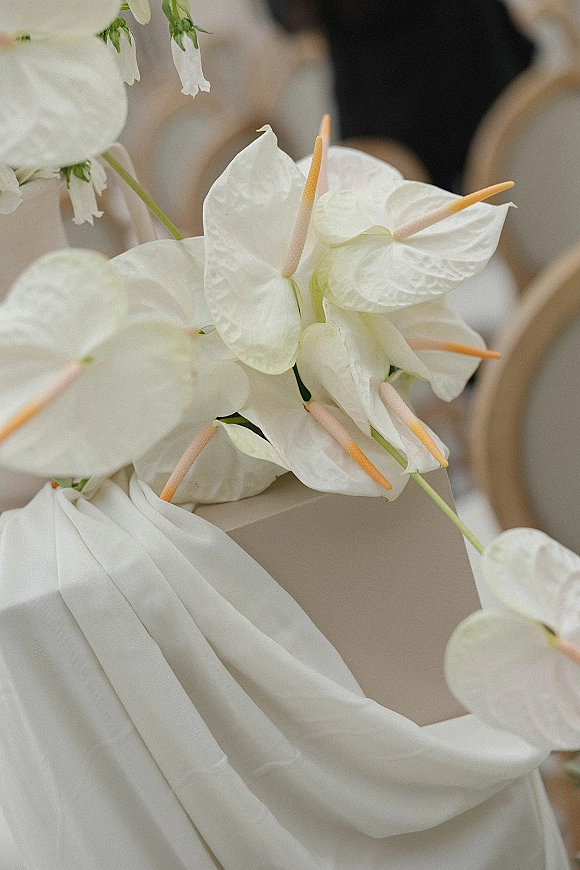 Ceremony chair decor with wedding chair flowers featuring white anthurium and draped fabric on a chair back, blurred rows behind