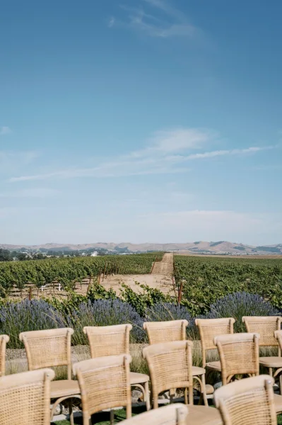 Ceremony setup for a vineyard wedding ceremony with woven chairs lining a dirt path between lavender bushes and vineyard rows under blue sky