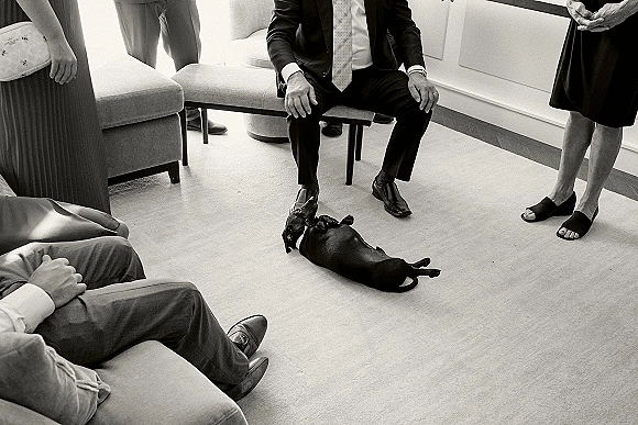 Getting ready moment with groomsmen getting ready in suits, one showing tie and watch, dog by lounge chairs in a carpeted room