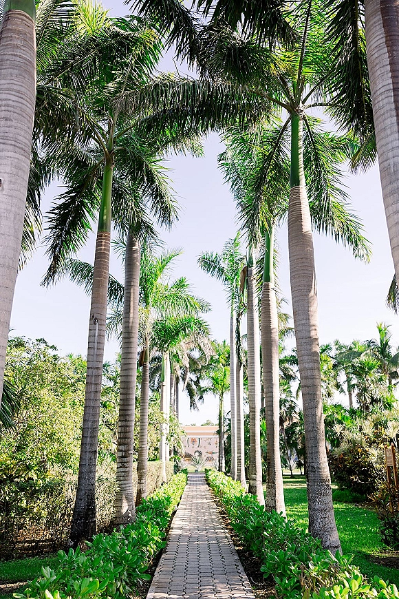 Outdoor walkway with a palm tree avenue over brick pavers, hedges and a garden sign leading toward a distant building under blue sky