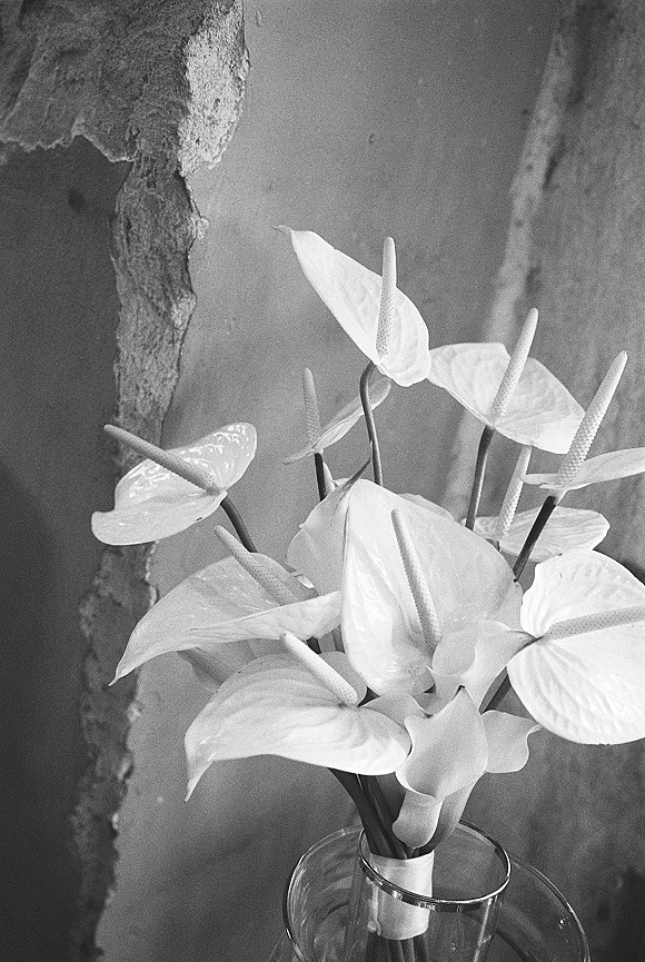 Wedding floral arrangement of white anthurium bouquet stems in a clear glass vase against a textured plaster wall and stone arch detail