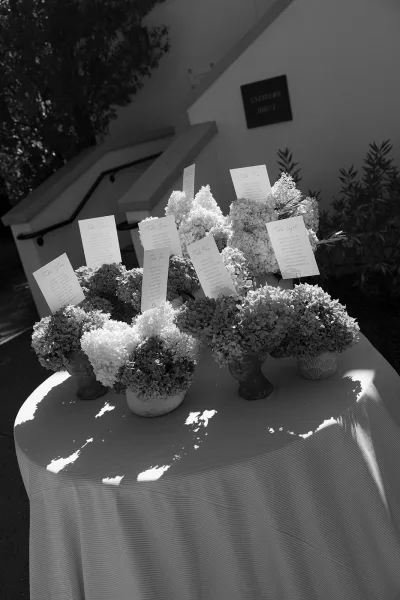Wedding escort cards on an escort card table with hydrangea pots and a striped tablecloth on sunny outdoor steps by a building entrance
