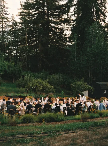 Outdoor wedding reception with long banquet tables, candles and floral centerpieces set on a lawn beneath forest trees near a small shed