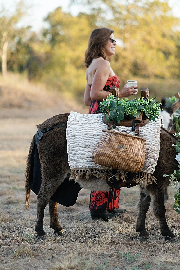 Donkey wedding decor with a floral saddle and greenery garland, carrying a wicker basket and drink cup in a dry field with trees