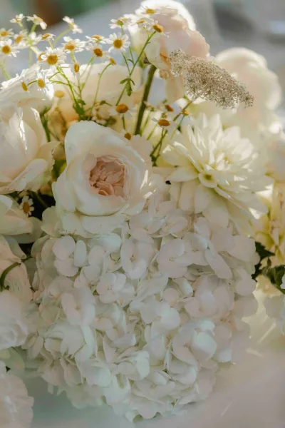 Bridal bouquet of white roses and hydrangea with daisy accents and queen anne's lace, greenery, shown close up against a soft blur