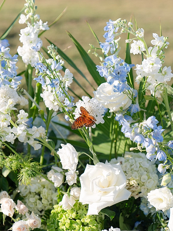 Wedding floral arrangement of white and blue wedding flowers with white roses, blue delphinium, greenery, and a butterfly on grass lawn