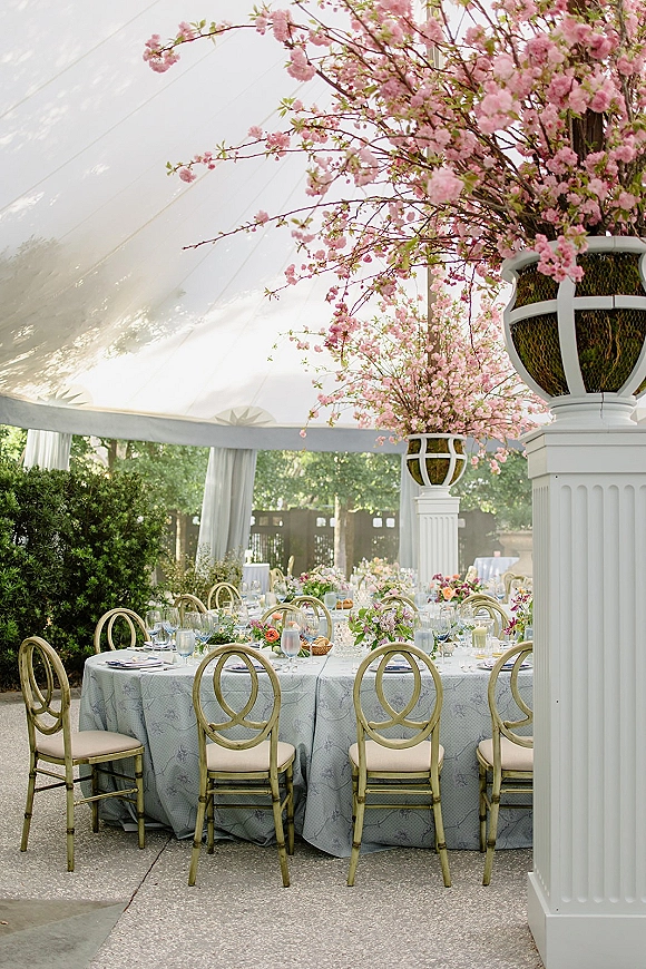 Reception tablescape with pale blue linens, low floral centerpieces, gold chairs, and place settings under a white tent with string lights