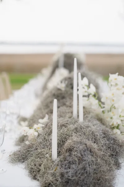 Reception tablescape with long wedding table decor featuring white taper candles and Spanish moss runner, set on an outdoor lawn with horizon view
