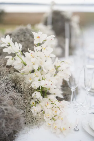 Reception tablescape with white orchid centerpiece and spanish moss garland on white linens, champagne flutes and plates by a waterfront railing