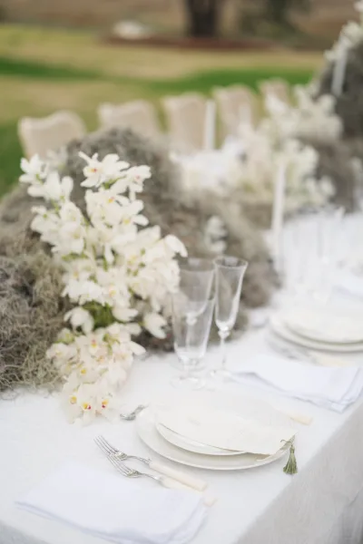 Reception tablescape with white wedding tablescape details, orchids on a gray moss runner, set outdoors on a lawn with trees behind