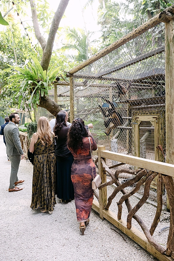 Wedding guest moment as guests in dresses and a suit chat while one holds a phone, walking a string-lit gravel path amid tropical greenery