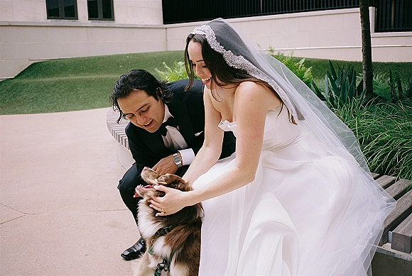 Couple with dog sitting on an outdoor bench as bride and groom with dog pet it, her lace veil and dress beside his black tuxedo