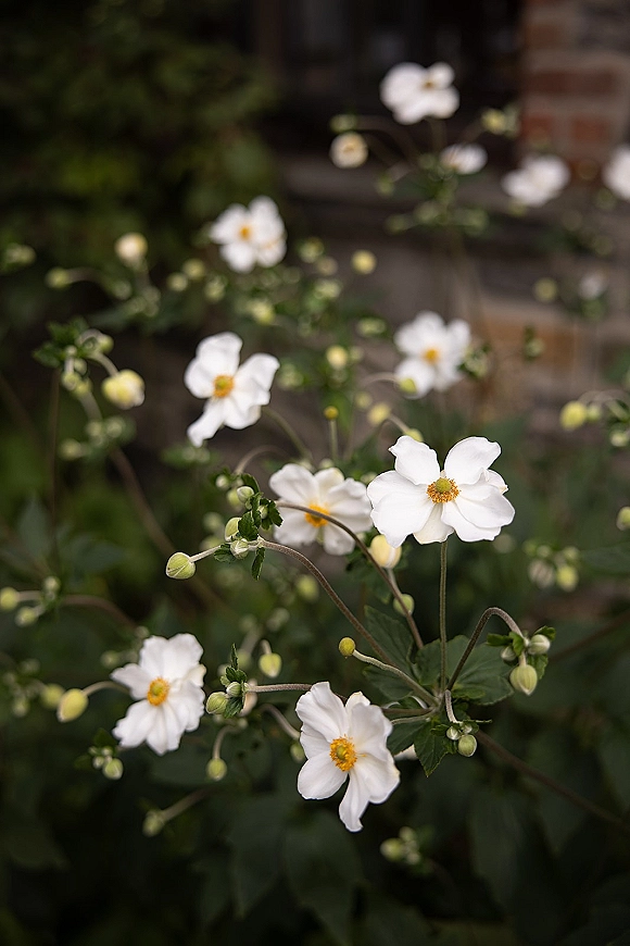 White wedding flowers with delicate buds and green leaves arranged on stems against garden greenery, a brick wall, and dark doorway