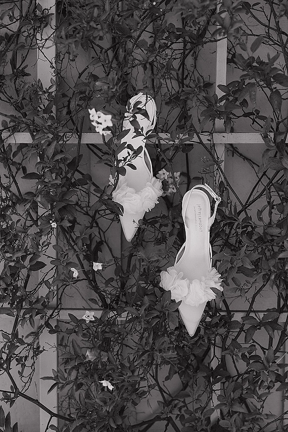 Wedding shoes in a bridal shoes flat lay, white pointed toe heels with ankle straps and floral appliqués on a vine-covered trellis