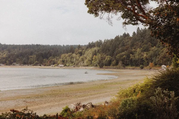 Coastal landscape with quiet bay shoreline at low tide, sandy beach and calm water beneath forested hills and an overcast sky