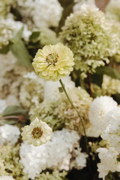 Wedding florals featuring white wedding flowers with greenery leaves and a pale yellow bloom, captured close up with soft blurred blooms behind