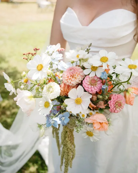 Bridal bouquet in a bride’s hands, wildflower bridal bouquet with cosmos, pink dahlias, zinnias, blue delphinium and trailing amaranthus on a sunlit lawn