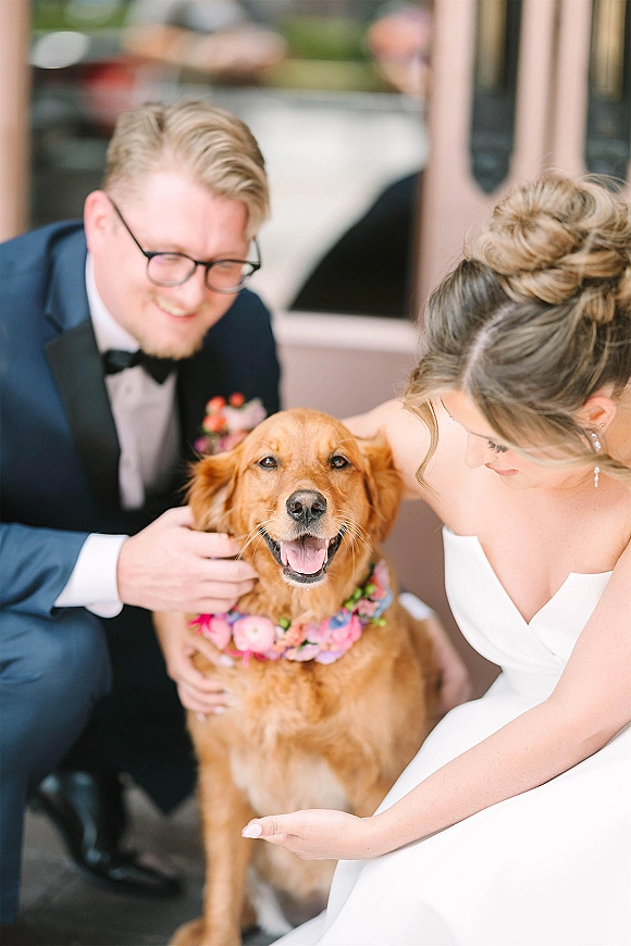 Wedding pet portrait of bride and groom seated with a golden retriever in a floral collar, with a doorway and blurred street behind