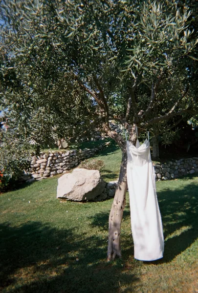 Wedding dress, a satin slip wedding dress on a hanger, hangs from tree branches in sunlight above a green lawn and stone wall