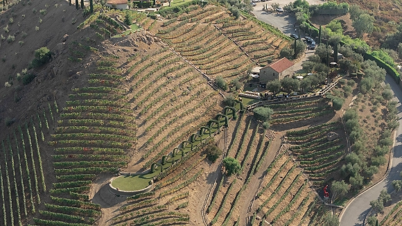 Vineyard wedding venue with terraced rows and a farmhouse, featuring outdoor dining tables with white chairs and umbrellas on a hillside