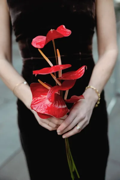 Bouquet close-up of a red anthurium bouquet held against a black dress, with a gold bracelet and ring on hand by a neutral wall
