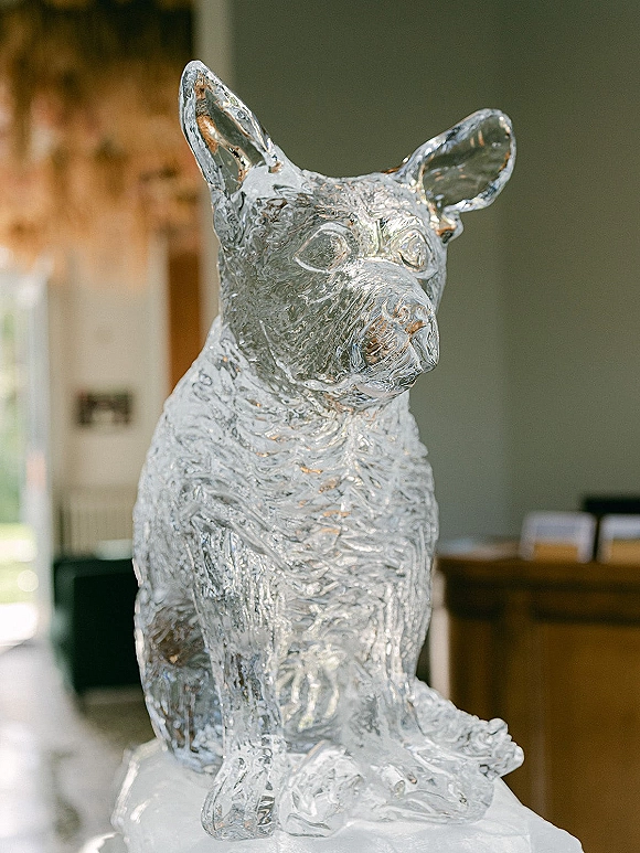 Ice sculpture shaped like a dog on a pedestal base, sparkling in window light inside an indoor reception room with blurred furniture