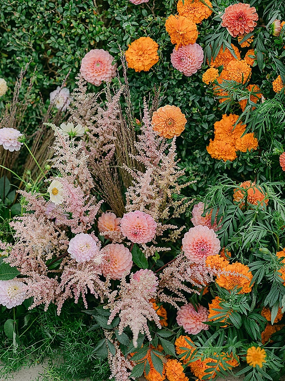 Wedding florals with dahlia wedding flowers in orange and pink, featuring marigolds and greenery arranged against a lush garden hedge backdrop