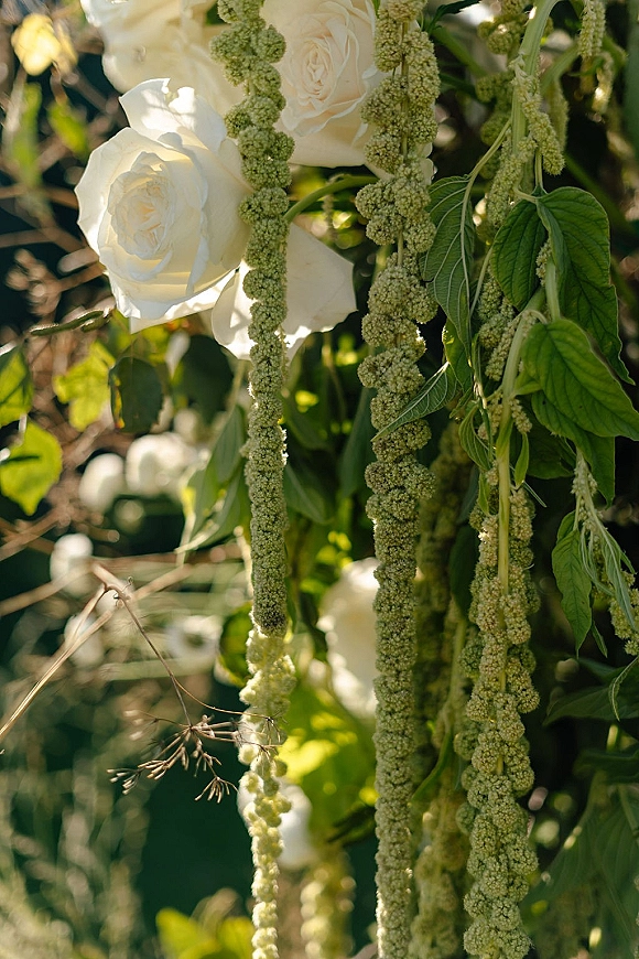 Wedding floral arch with white roses and hanging greenery, draped in vines against sunlit garden foliage in soft focus